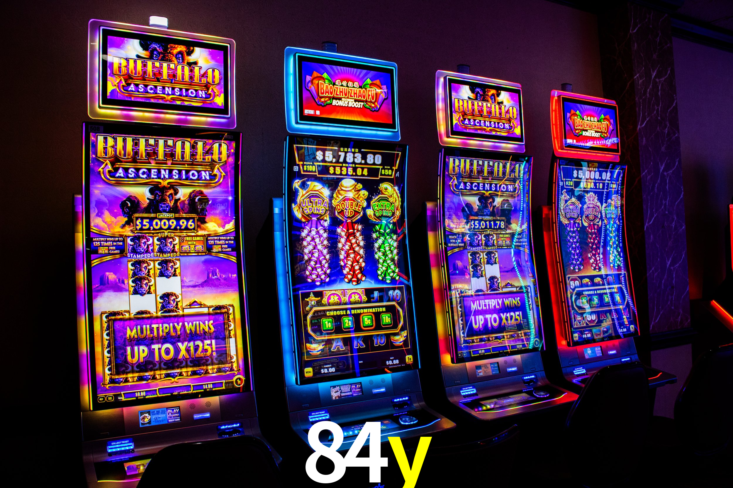 Basketball Betting 84y